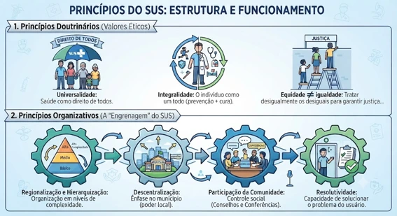 Gráfico que mostra principios do sus estrutura e funcionamento.