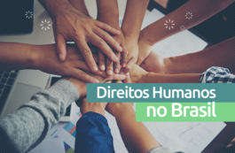 Direitos Humanos e a Constituição do Brasil
