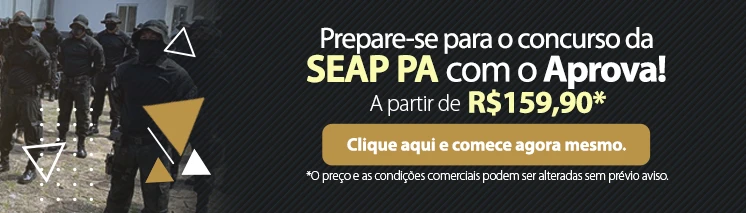 curso para SEAP PA