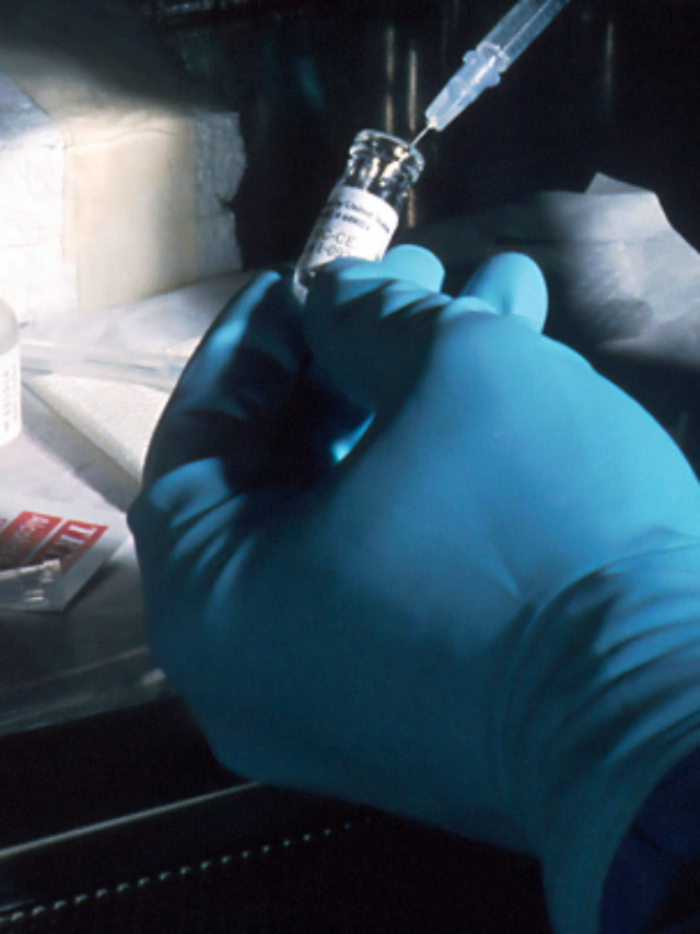 Concurso SES DF – 2022