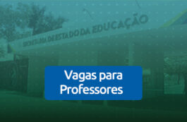 Concurso SEDUC GO: tudo sobre o edital da Secretaria de Estado da Educação de Goiás