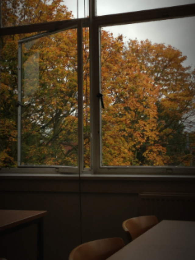 Concurso IFG: 48 vagas com salários até R$ 4,1 mil