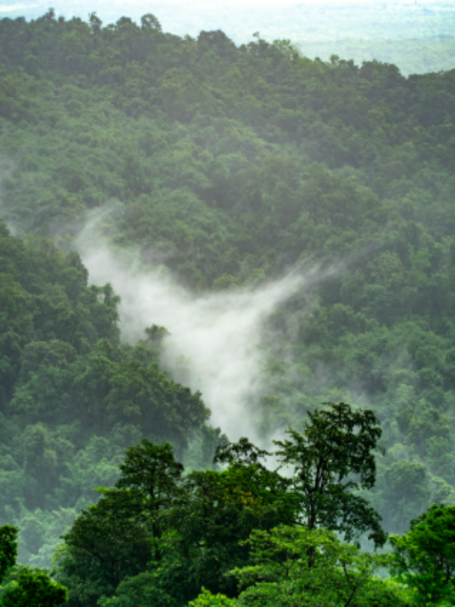 concurso FEPAM RS 2022: 56 vagas com salário de até R$ 6.646,96