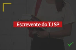 Concurso TJ SP 2023: cargo de Escrevente; conheça as atribuições