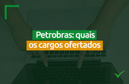 Quais são os cargos ofertados no concurso da Petrobras 2023?