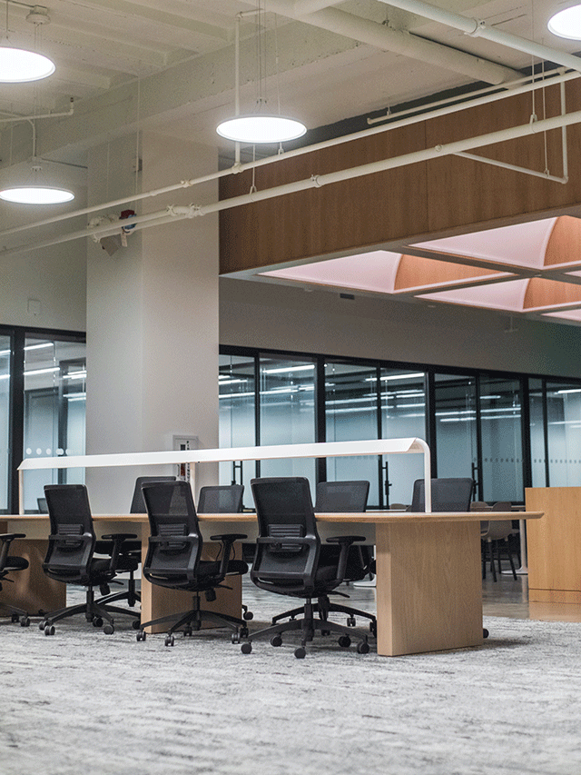 Concurso DPE PA oferece 25 vagas de nível superior