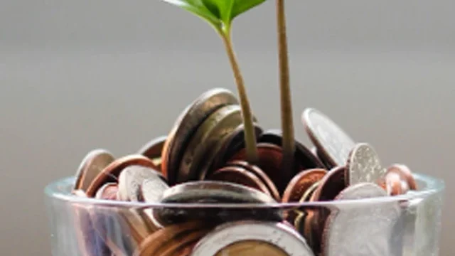 Concurso CREA ES: Atribuições do cargo de Administrador e como se preparar para o certame