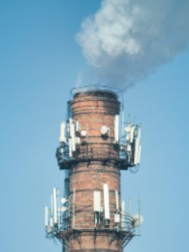 Concurso Petrobras: requisitos necessários