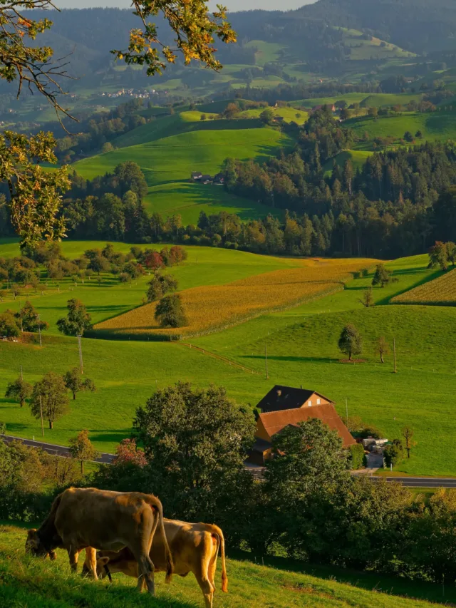 Concurso Emater DF: o que levar no dia da prova?