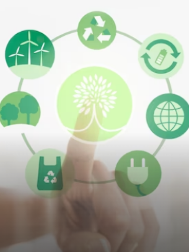 Concurso MMA: Veja as atribuições para o cargo de Analista Ambiental. 98 vagas!