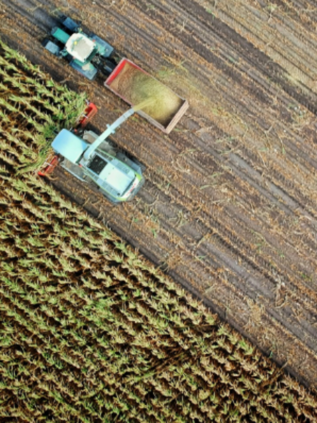 Concurso ADAB 2024: edital publicado com 160 vagas; confira!