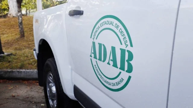 SAIU Concurso ADAB 2026: Edital republicado com 200 vagas!