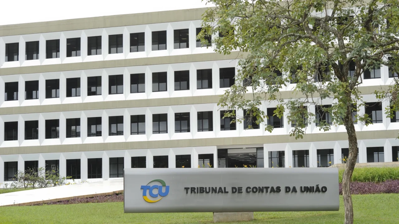 Concurso TCU: Resultado da heteroidentificação para Auditor de TI é divulgado; confira