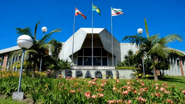 Edital Epagri SC: SAIU! 40 vagas e ganhos de até R$ 18,1 mil