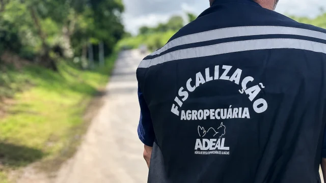Concurso ADEAL: edital publicado com 44 vagas e salário de R$ 7,3 mil