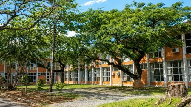 Concurso SAPE SC oferece iniciais de até R$ 11,5 mil